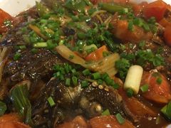 -渔夫啤酒鱼总店