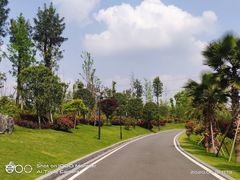 -枫香湖儿童公园