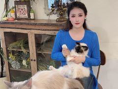 -共舞时光猫咖·狗咖(新街口店)