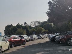 -滴水岩森林公园