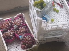 -马陆小张葡萄园农家乐