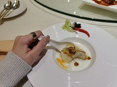 xo酱白玉蒸斑丸子-利苑酒家(合景国际金融广场店)