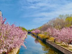 -元大都城垣遗址公园