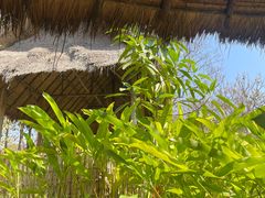 -大象粑粑造纸公园