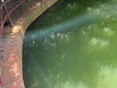 -侯臣咖啡文化村