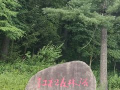 -五营国家森林公园
