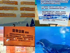 -海合安武汉极地海洋公园