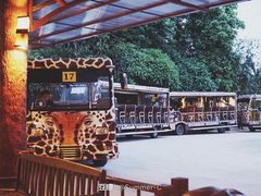 -清迈夜间动物园