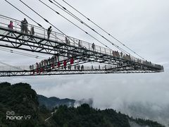 -梦幻奥陶纪景区
