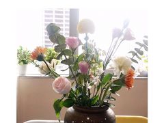 -猫音日语留学培训