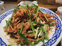 杭州老头儿油爆虾河虾-老头儿油爆虾(星光一期店)