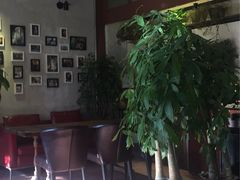 -百好乐宠物友好餐厅(朝外大街店)