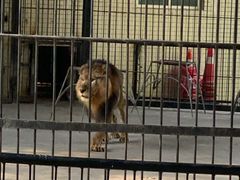 -广东茂名森林公园