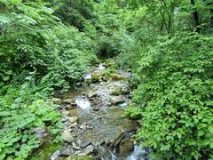 -鹿院坪生态旅游景区