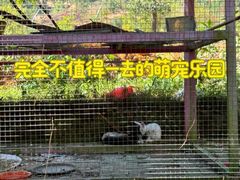 -牛鱼嘴原始生态风景区