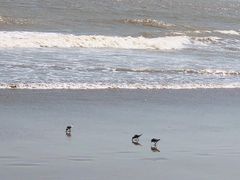 -南澳海滩