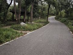 -青龙山国家森林公园