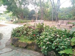 -东莞植物园