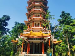 -深圳仙湖植物园