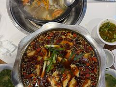 -乡土特色.冷锅鱼.牦牛肉汤锅