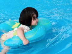 -美的鹭湖探索王国