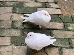 -飞来湖湿地公园