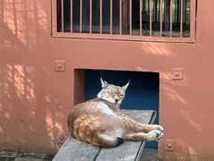 -青藏高原野生动物园