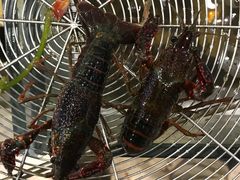 -虾弄弄海派小龙虾·牛羊蝎子火锅