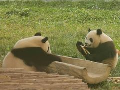 -西安秦岭野生动物园