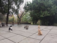 -四门塔风景区