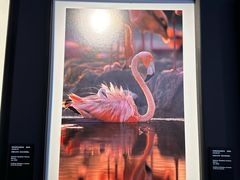 -罗红摄影艺术馆