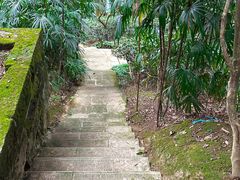 -南山植物园
