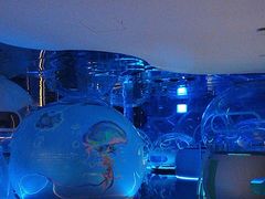 -水之梦(黄浦店)
