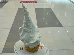 -野人先生Gelato(上海长宁龙之梦店)