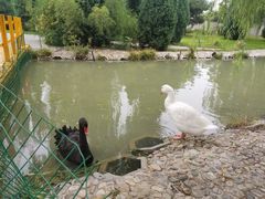 -兴芮温泉度假区