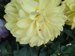 -北京华联合肥长江西路购物中心