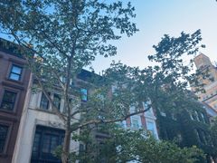 -Lady M Cake Boutique(麦迪逊大道店)