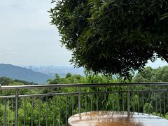 -金水泊山庄·花椒鸡(铁山坪店)