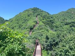 -大岭沟猕猴桃谷风景区