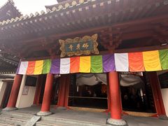 -新加坡佛牙寺龙华院