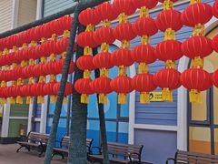 -海合安成都极地海洋公园