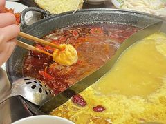 -朱光玉火锅馆(正弘城店)