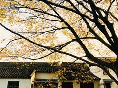 -西园戒幢律寺