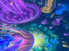 -海合安武汉极地海洋公园