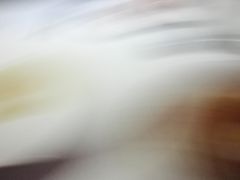 -佐度王子扒房(天鹅湖店)