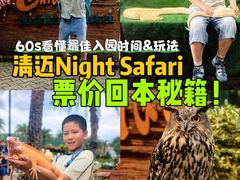 -清迈夜间动物园