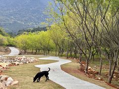 -福清灵石山国家森林公园