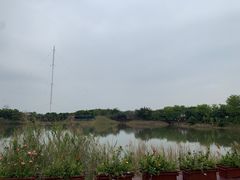 -福田红树林生态公园