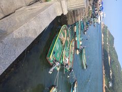 iphone_upload_pic-东澳岛