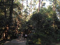 -蒋氏故居